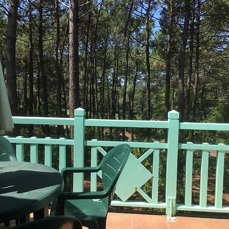 Apt T2 Calme Sur Golf, Piscine, Ocean 10 Min En Velo Lacanau Extérieur photo