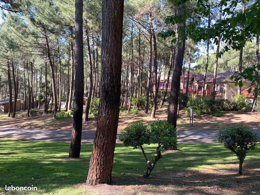 Apt T2 Calme Sur Golf, Piscine, Ocean 10 Min En Velo Lacanau Extérieur photo