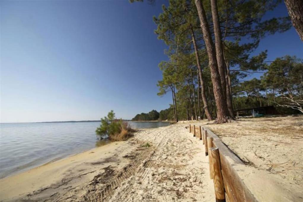 Apt T2 Calme Sur Golf, Piscine, Ocean 10 Min En Velo Lacanau Extérieur photo